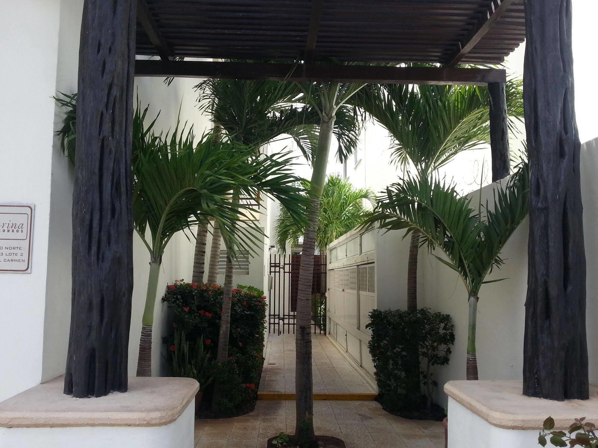 Vida Nueva Bed&Breakfast Peregrina Bed & Breakfast Playa del Carmen Exterior photo